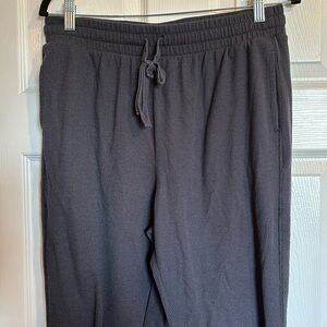 Fabletics Go To Waffle women’s blue jogger pants size large